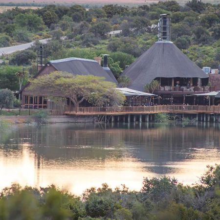 Buffelsdrift Game Lodge Oudtshoorn Exterior foto