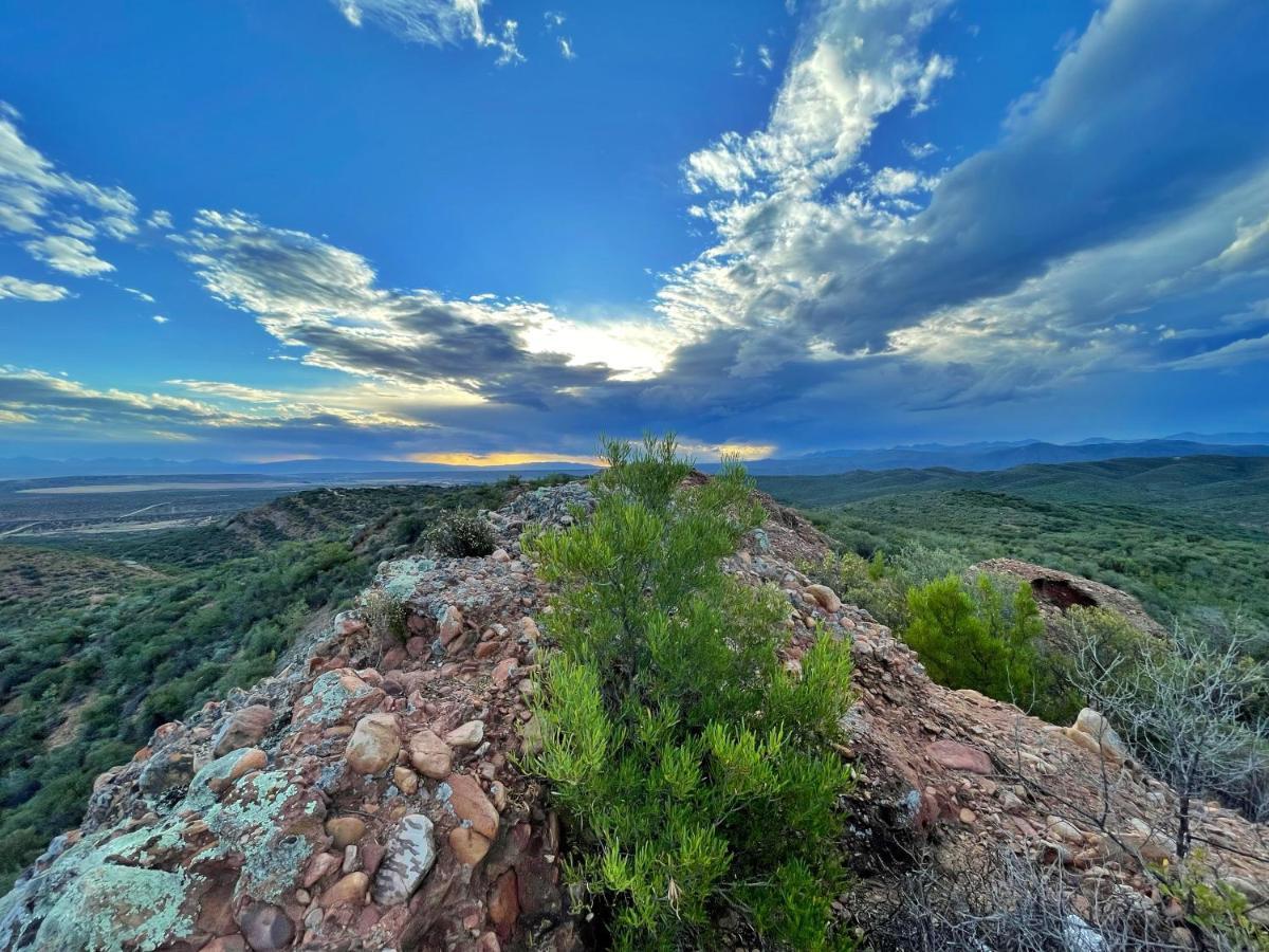 Buffelsdrift Game Lodge Oudtshoorn Exterior foto