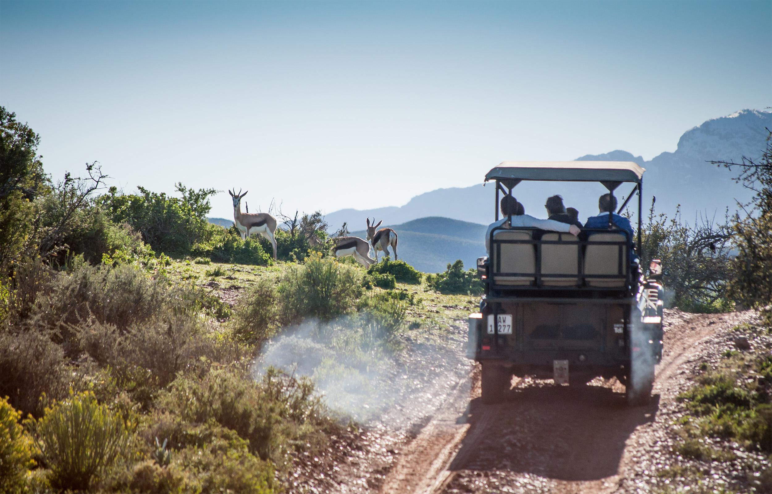 Buffelsdrift Game Lodge Oudtshoorn Exterior foto